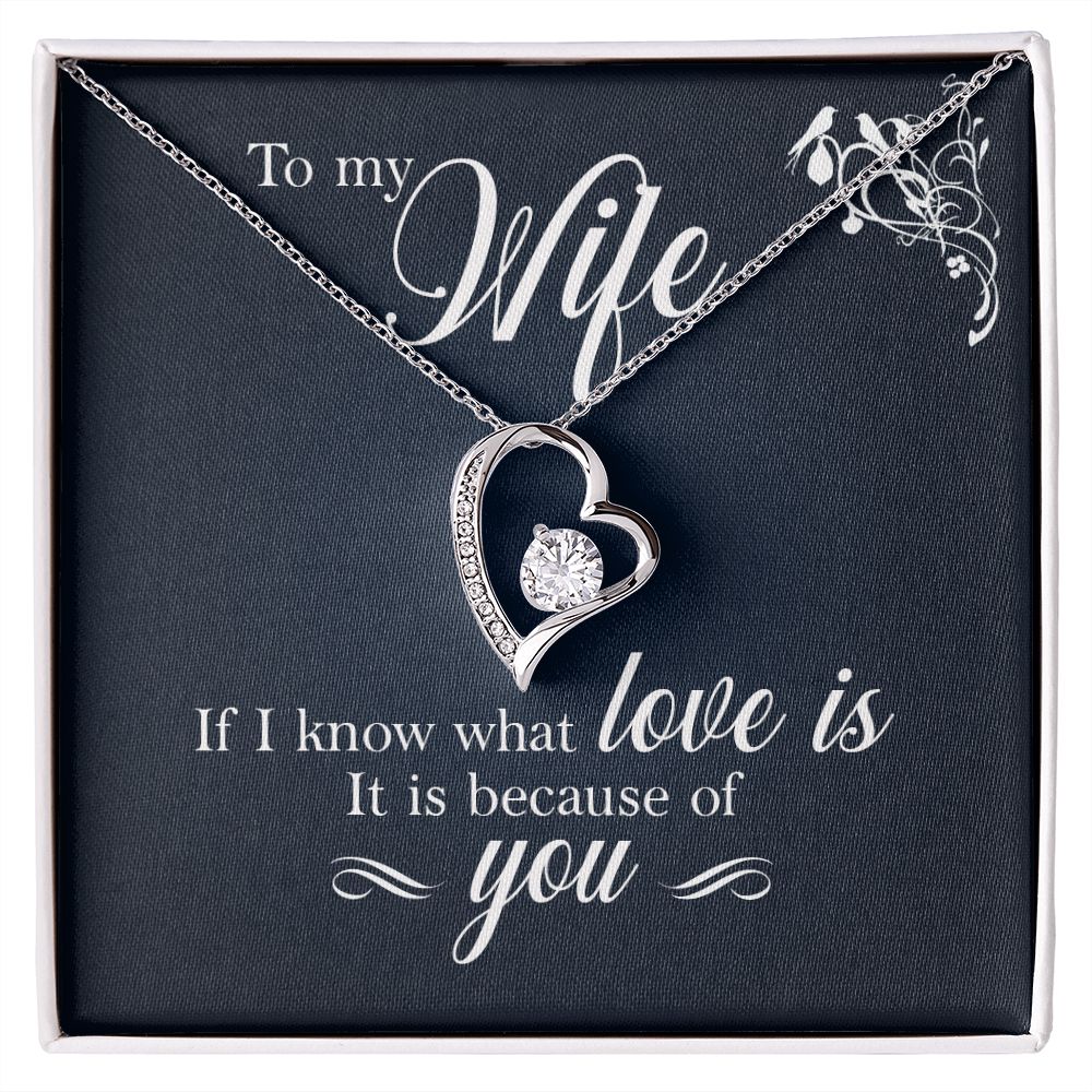 To My Wife - If I Know What Love Is It Is Because of You