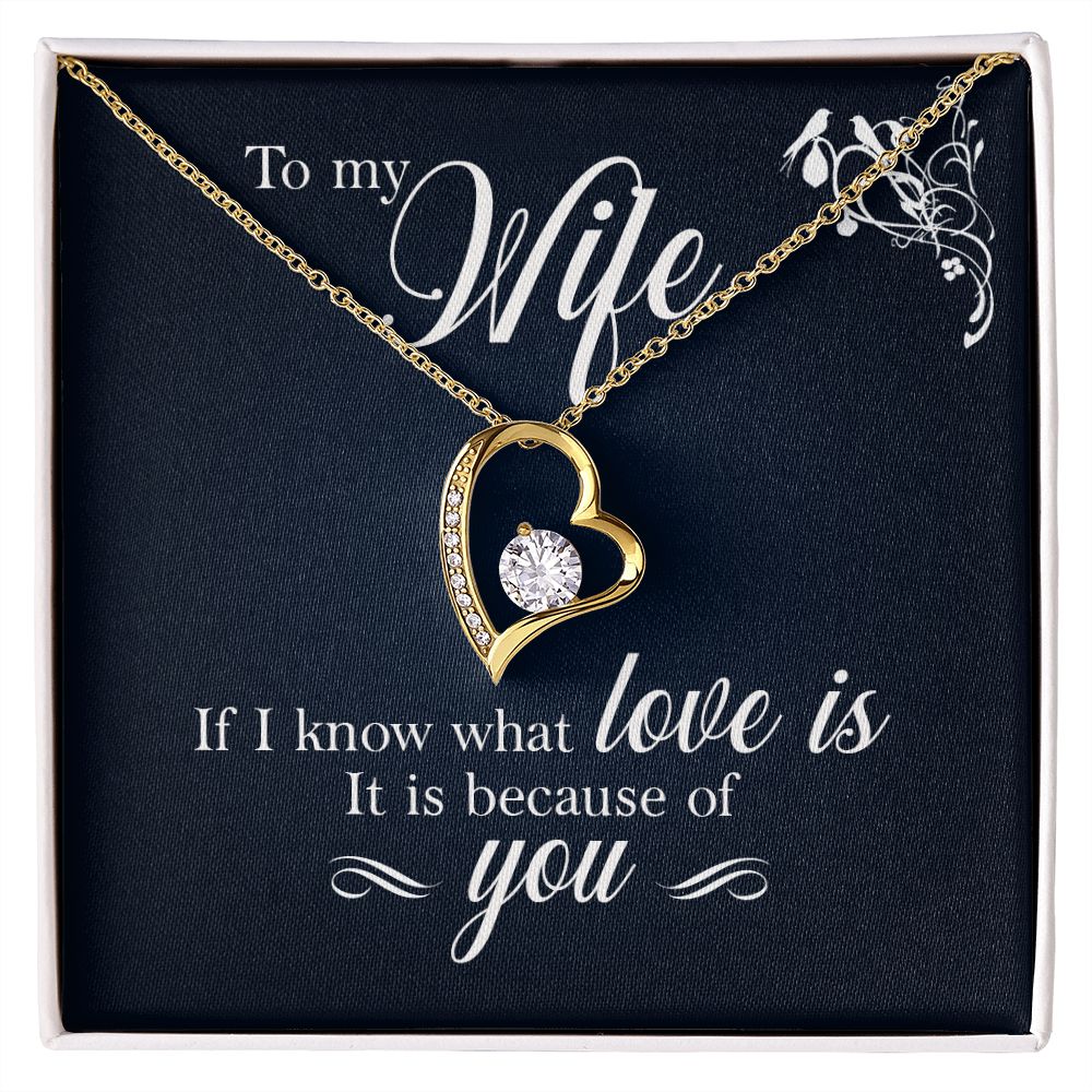 To My Wife - If I Know What Love Is It Is Because of You